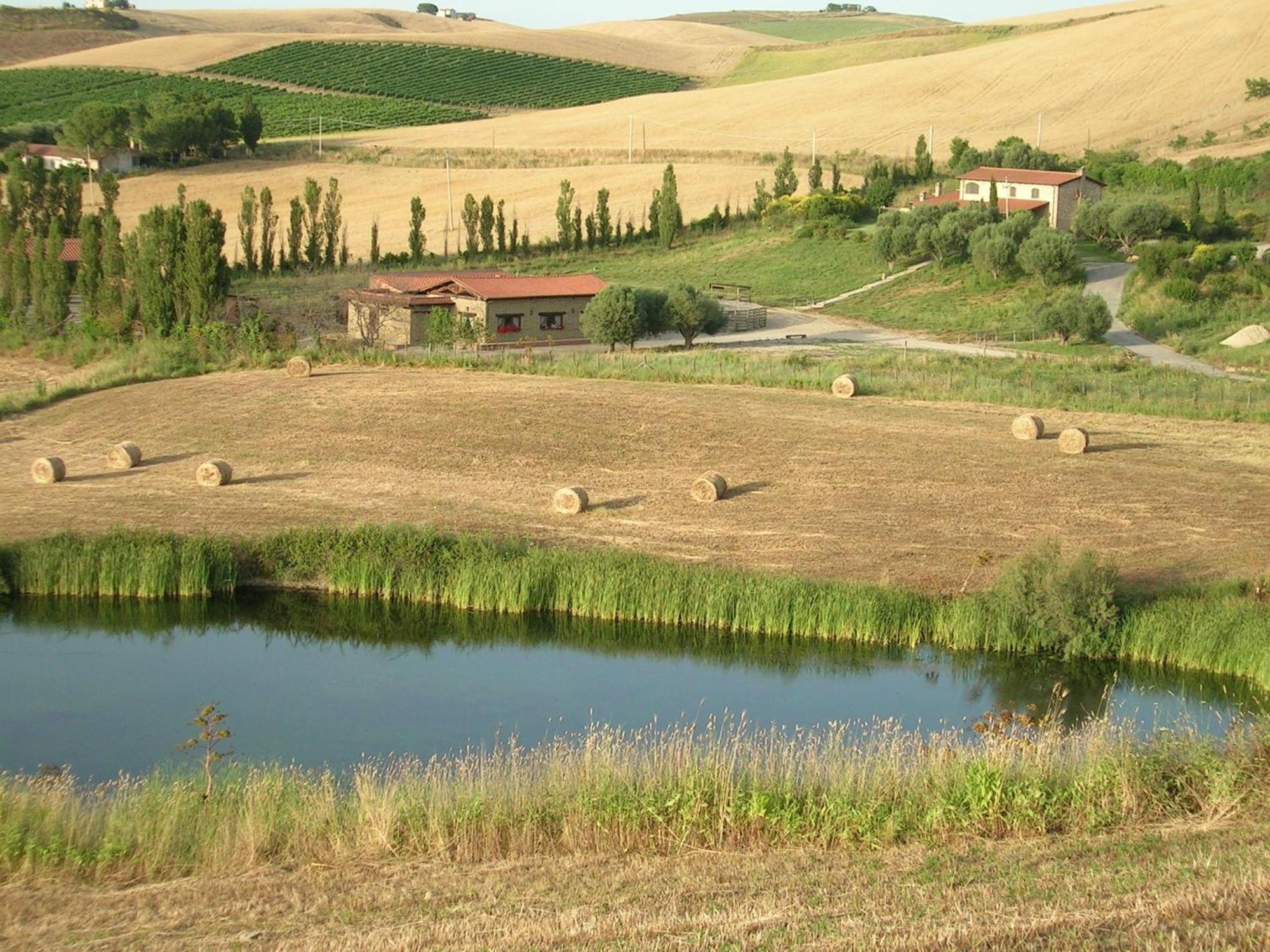 Casale Farnesiana B&B Tarquinia Exterior foto